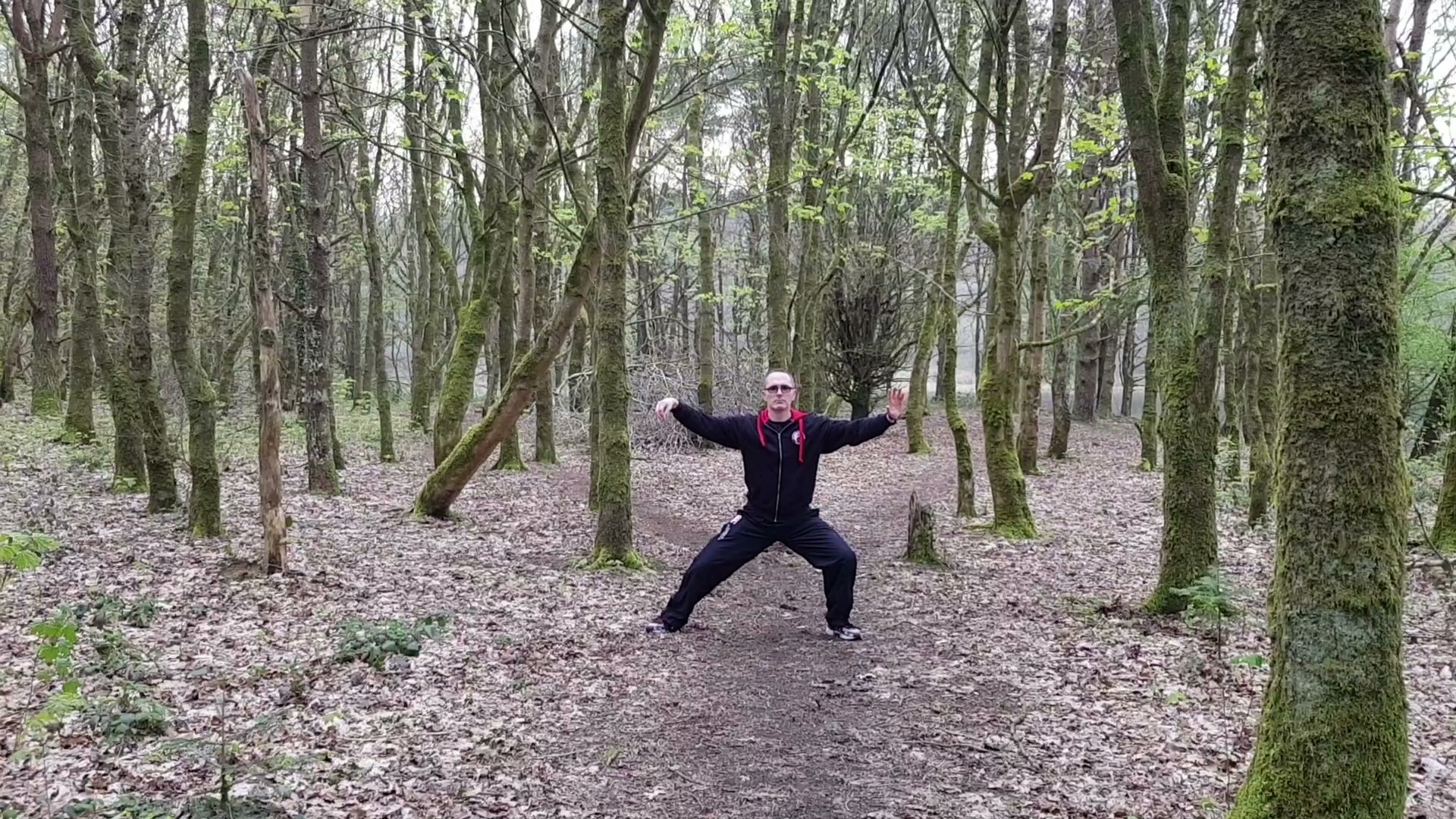 <br />
Tai Chi 8 Form;Tai Chi 11 Form;Tai Chi Promo;Laojia Demonstration;8 Form Demonstration;